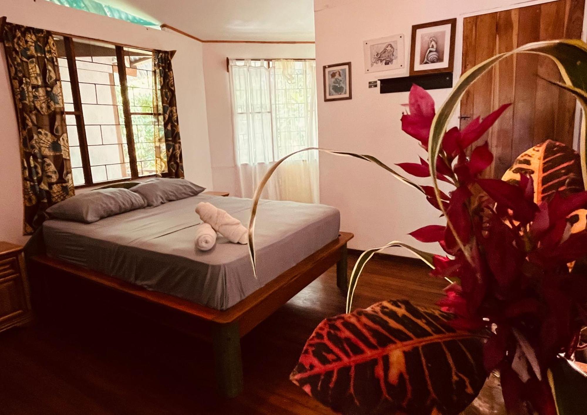 La Ruka Hostel Puerto Viejo de Talamanca Esterno foto
